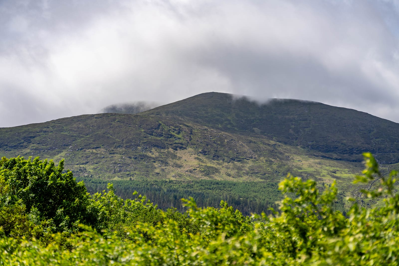 Slieve Donard seen from the property